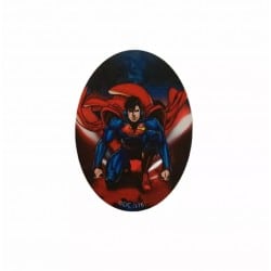 ΘΕΡΜΟΚΟΛΛΗΤΙΚΟ ΜΟΤΙΦ SUPERMAN 5