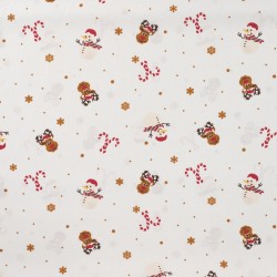 SNOWMAN AND REINDEER