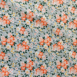 CHICHI CORAL