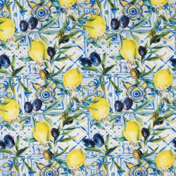 HALF PANAMA LEMONS AND OLIVES