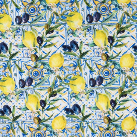 HALF PANAMA LEMONS AND OLIVES