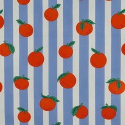 ΑΔΙΑΒΡΟΧΟΠΟΙΗΜΕΝΟ FRUITS BLUE