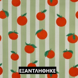 ΑΔΙΑΒΡΟΧΟΠΟΙΗΜΕΝΟ FRUITS GREEN
