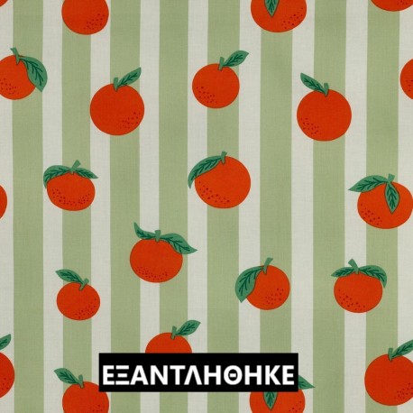ΑΔΙΑΒΡΟΧΟΠΟΙΗΜΕΝΟ FRUITS GREEN
